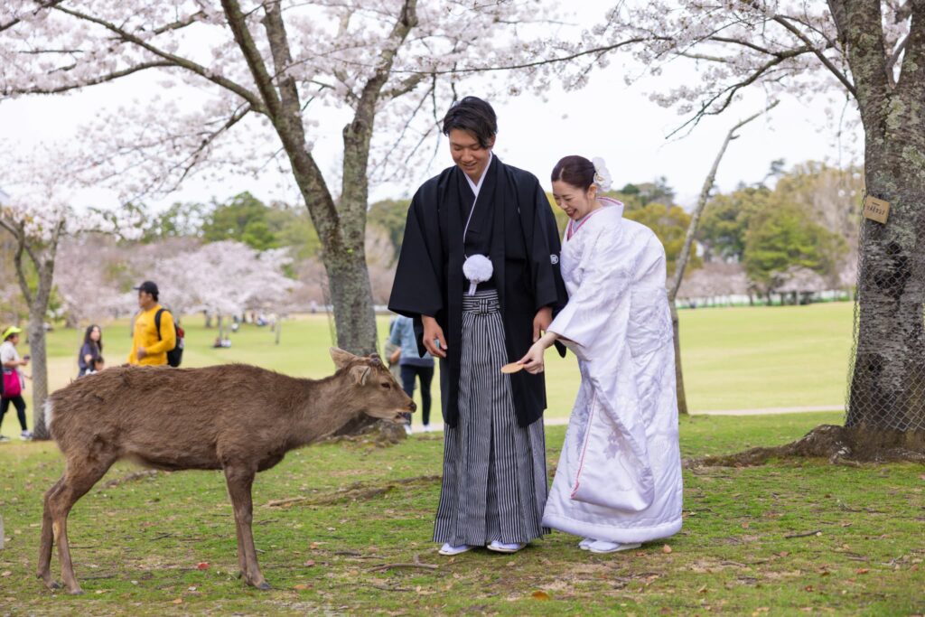 フォトウェディング・結婚式前撮り_フォトスタジオワタナベ(渡辺写真館)_奈良_フォトウェディングロケ_特徴